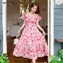 Fairy Rose Floral Pink Chiffon Dress